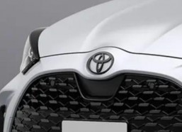 四虎国产精,四虎国产精生成背后的故事与影响