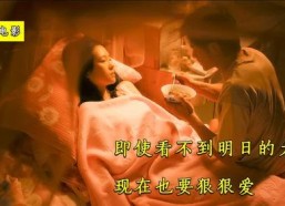 国产爱情,浪漫旋律下的家国情怀