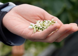 亚洲 国产 熟,国产熟食的崛起与传承