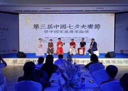 国产夫妻论坛,揭秘中国家庭情感生活新风向