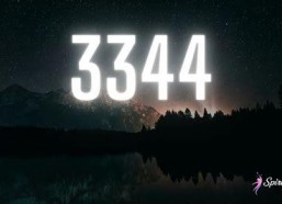 国产在线伊人,引领潮流的国产影视佳作