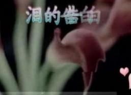 国产3p对白在线视频,揭秘激情四溢的私密世界