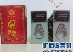 国产精品入,匠心独运，引领时代潮流的青春成长记