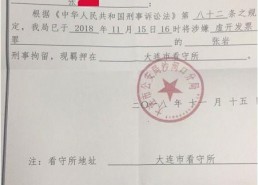 浮力影院国产限制,探索限制与创新的边界